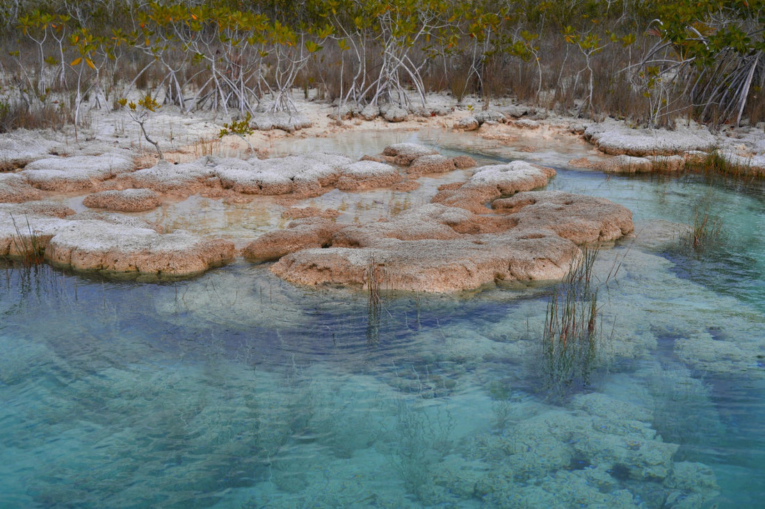 What Makes Bacalar Unique? And Why We Have to Protect It